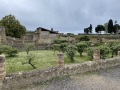 IMG_4219